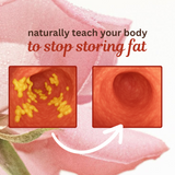 Fat Burner with MCT