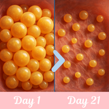 Fat Burner with MCT