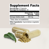 Moringa Muse