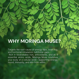 Moringa Muse